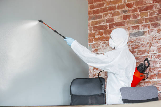 Best Mold Prevention Services  in East Dundee, IL