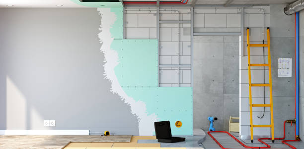 East Dundee, IL Mold Removal Company