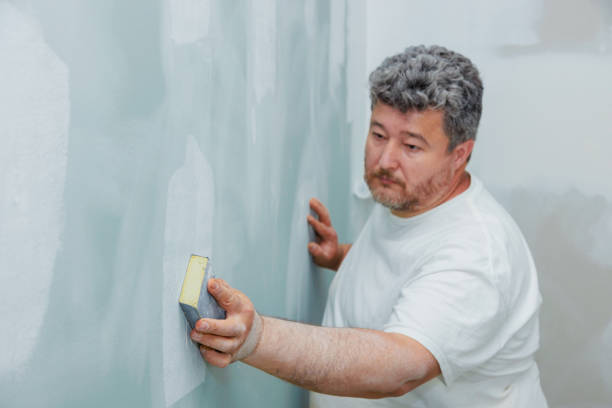 Best Residential Mold Inspection & Testing  in East Dundee, IL
