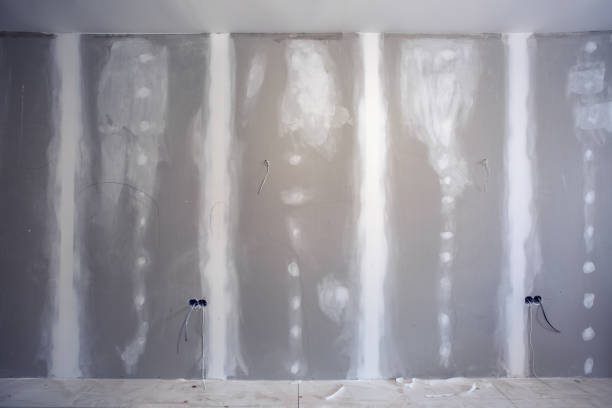 Best Mold Damage Restoration  in East Dundee, IL